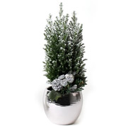 Arvore de Natal - CX04 - A 30-40 cm